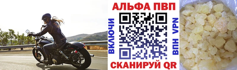 Alfa_PVP СК КРИС Балтийск