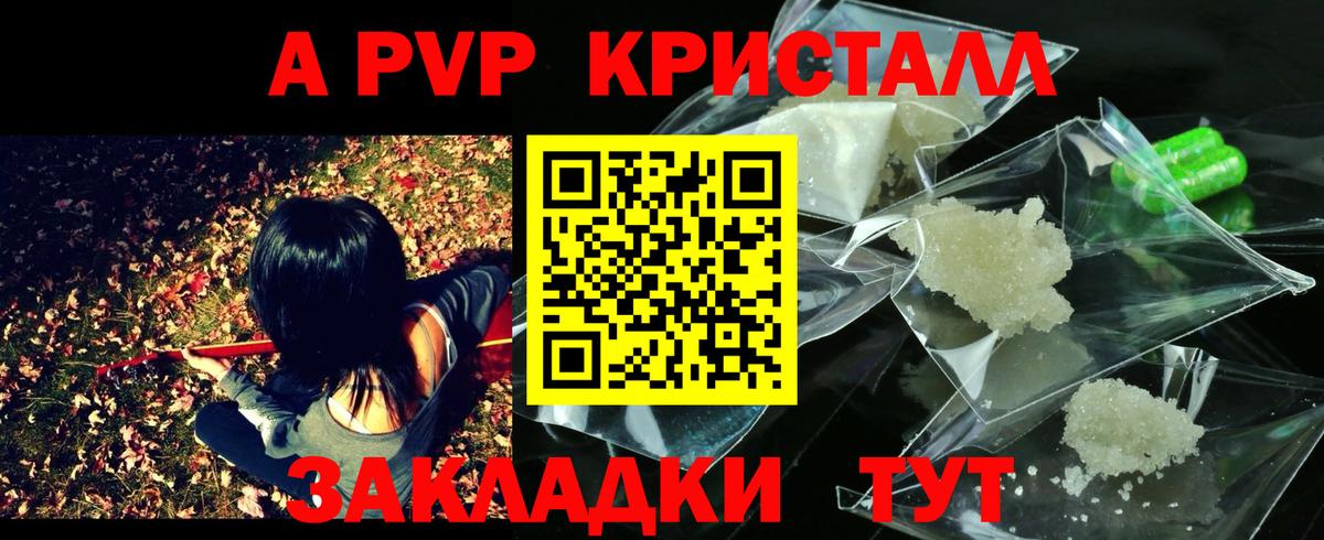 Alfa_PVP СК Балтийск