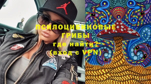 тгк Балахна