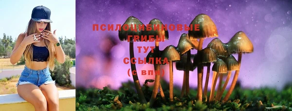 тгк Балахна
