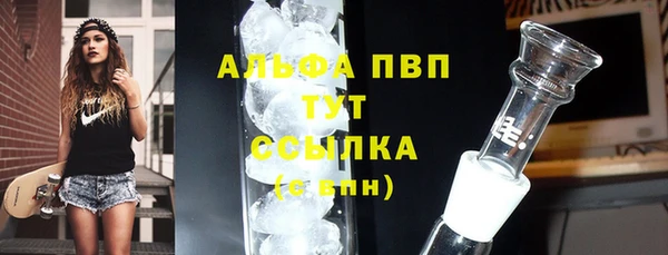 мяу мяу мука Баксан