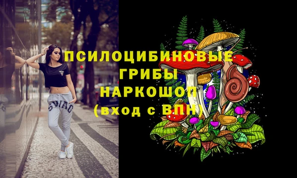тгк Балахна