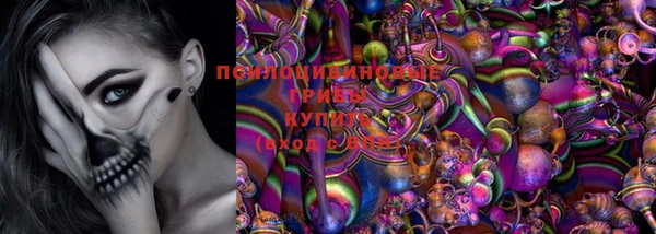 мяу мяу мука Баксан