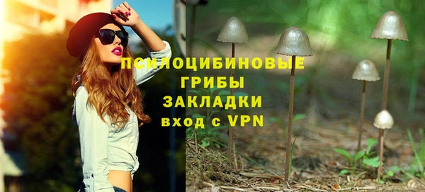 мяу мяу мука Баксан