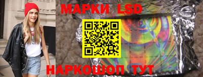 стаф Нальчик