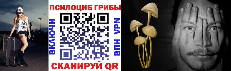 Псилоцибиновые грибы Magic Shrooms  продажа наркотиков  Балтийск 