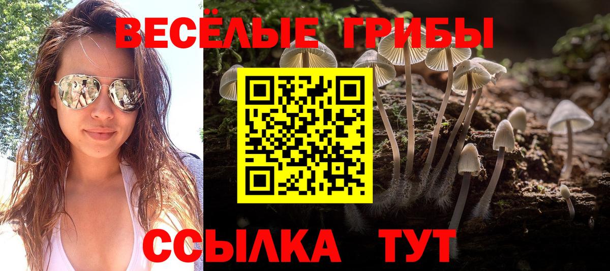 Галлюциногенные грибы GOLDEN TEACHER Балтийск