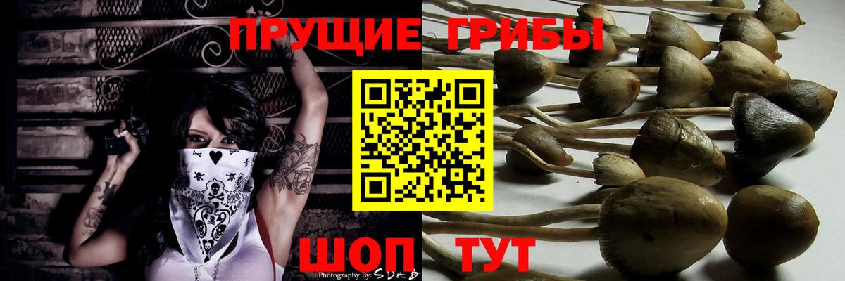 Галлюциногенные грибы мухоморы  даркнет сайт  Балтийск  Вход с VPN 